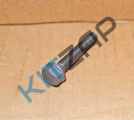 ���� ������